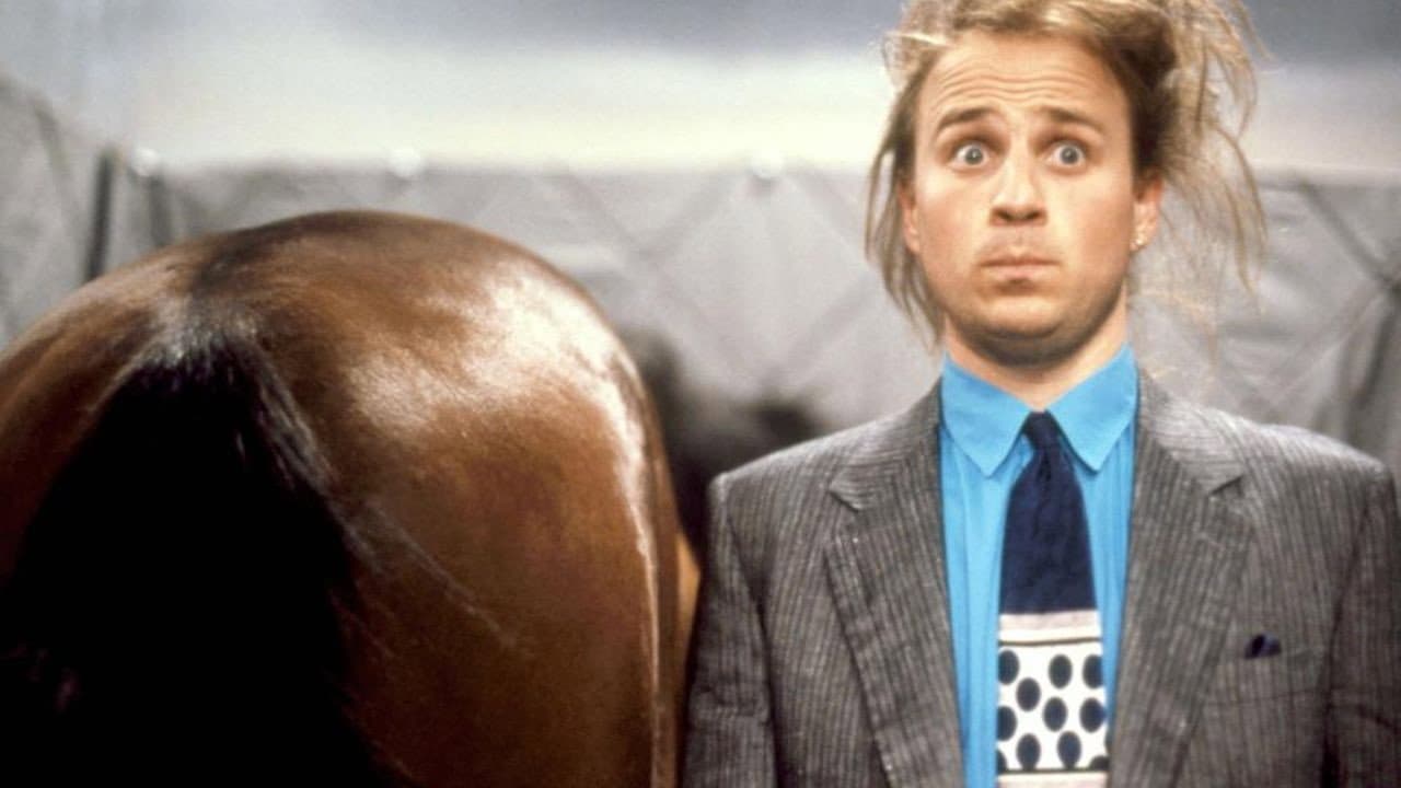 Hot to Trot, un caballo en la bolsa