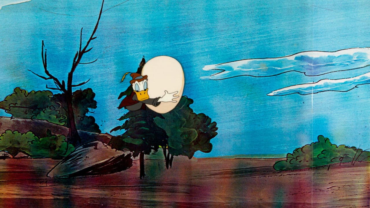 Cóndor contradictorio