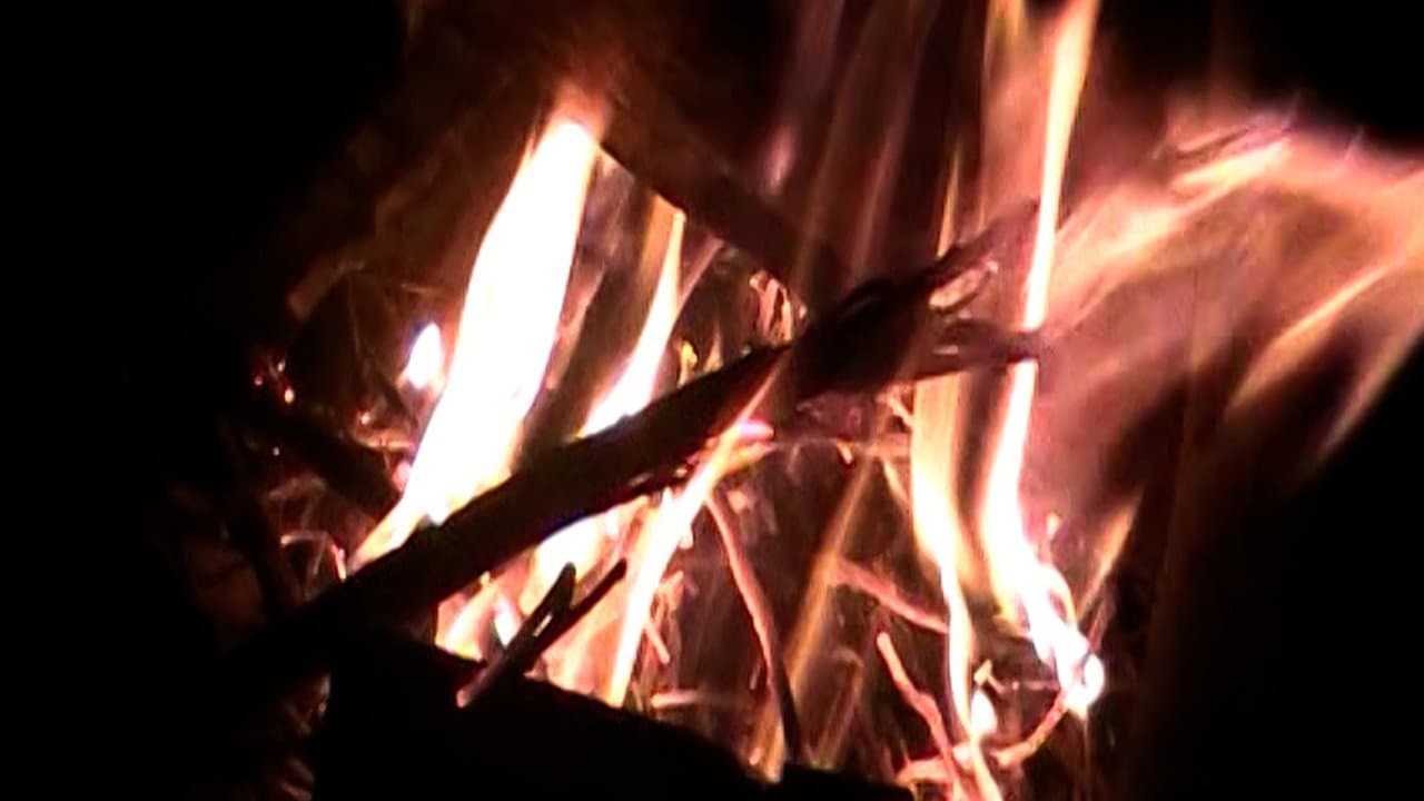 עדשת נעורים: הטריפ האחרון