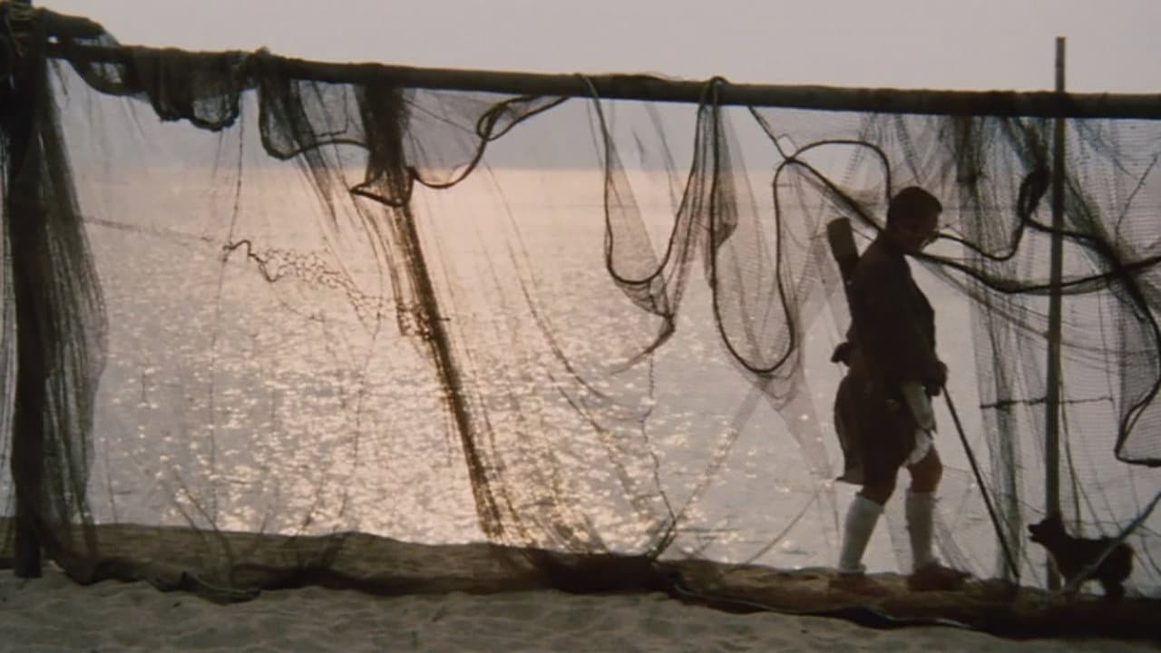 Zatoichi desesperado