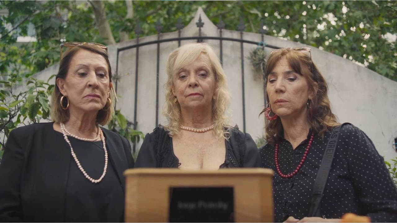 La piel bajo mi faja