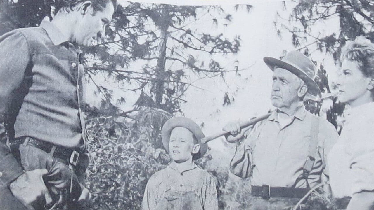 Dinero, Mujeres y Armas