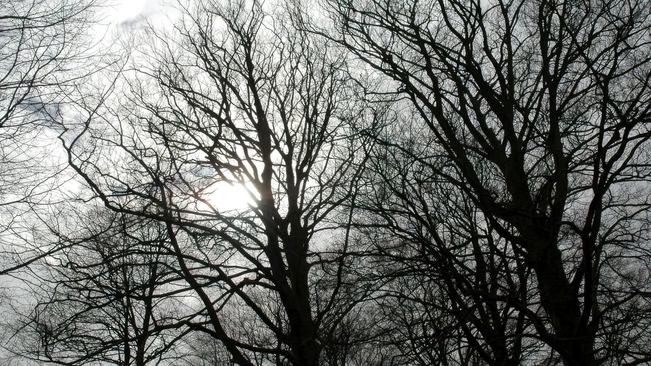 Historias del más allá