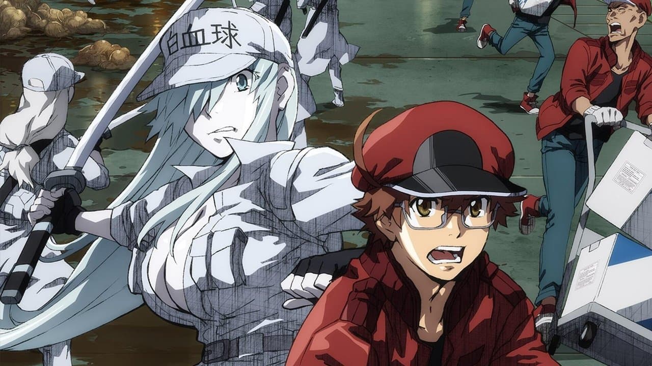 Hataraku Saibou Black