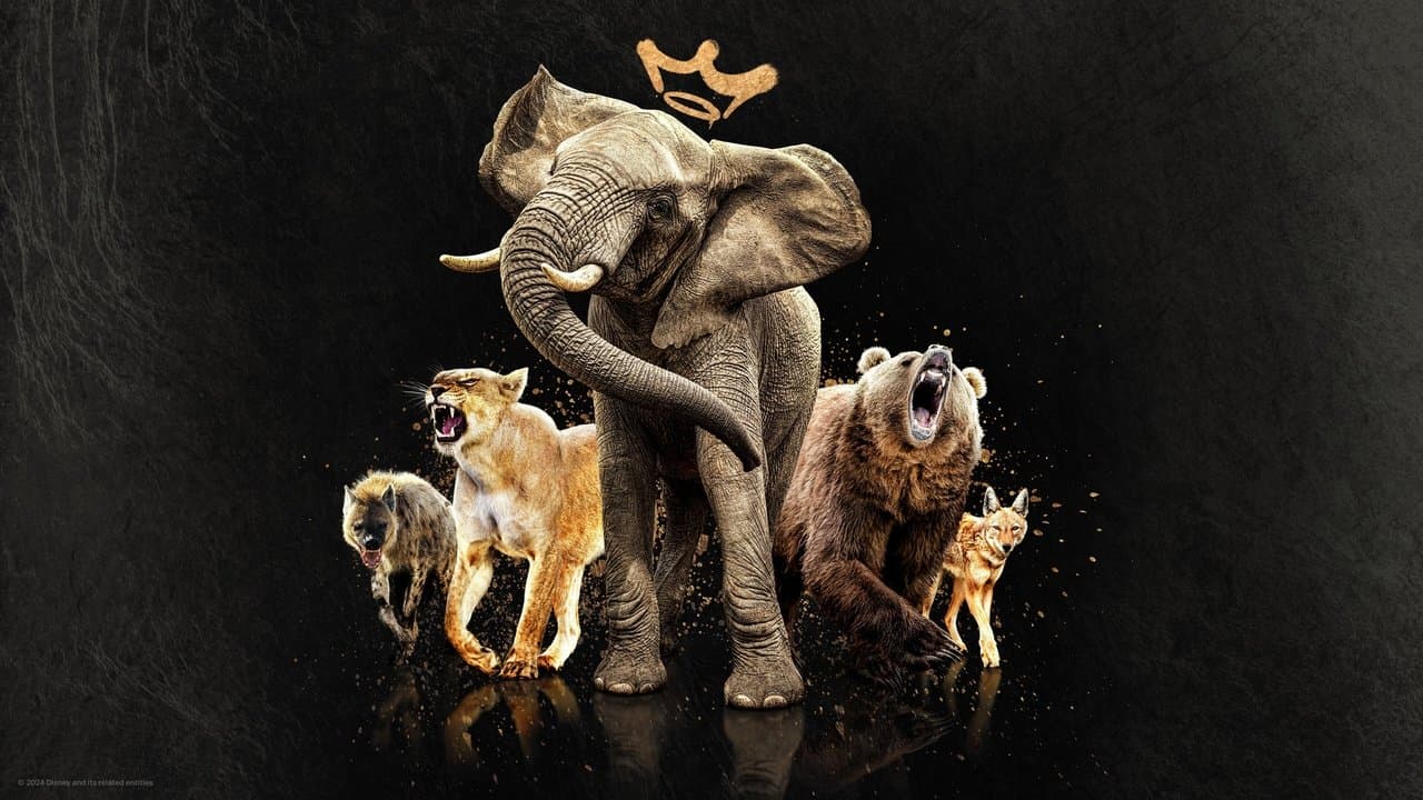 Reinas del mundo salvaje