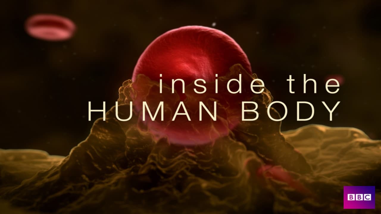 Dentro del Cuerpo Humano