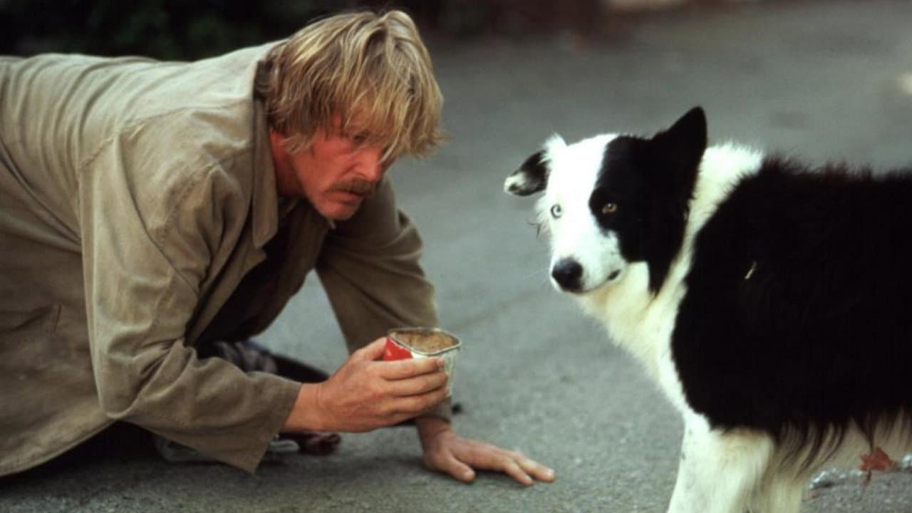 Un loco suelto en Hollywood