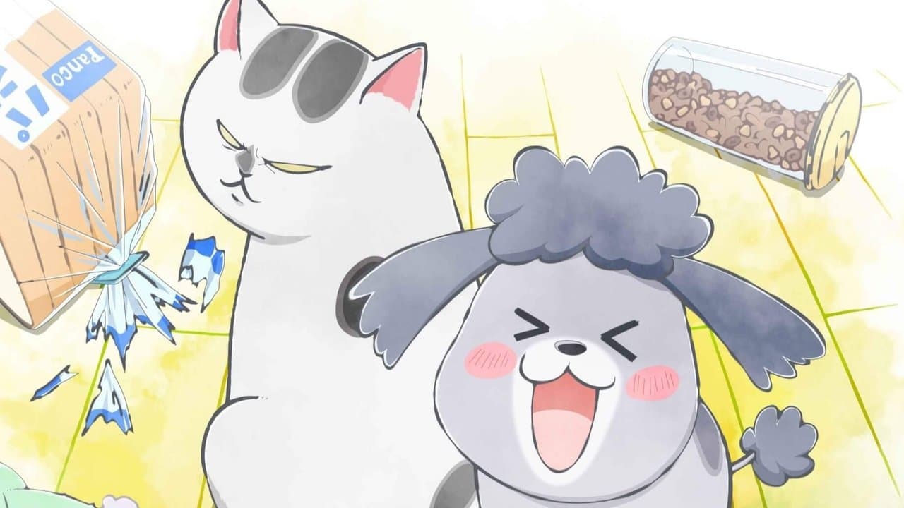 Con un perro y un gato, diversión para rato