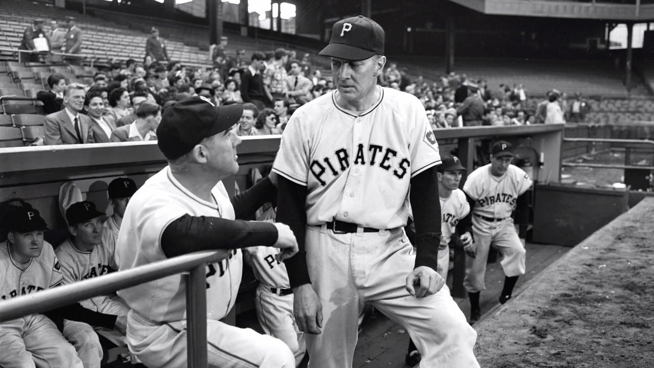 Ángeles en el campo abierto