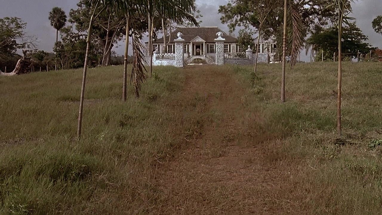 El gran mar de los Sargazos