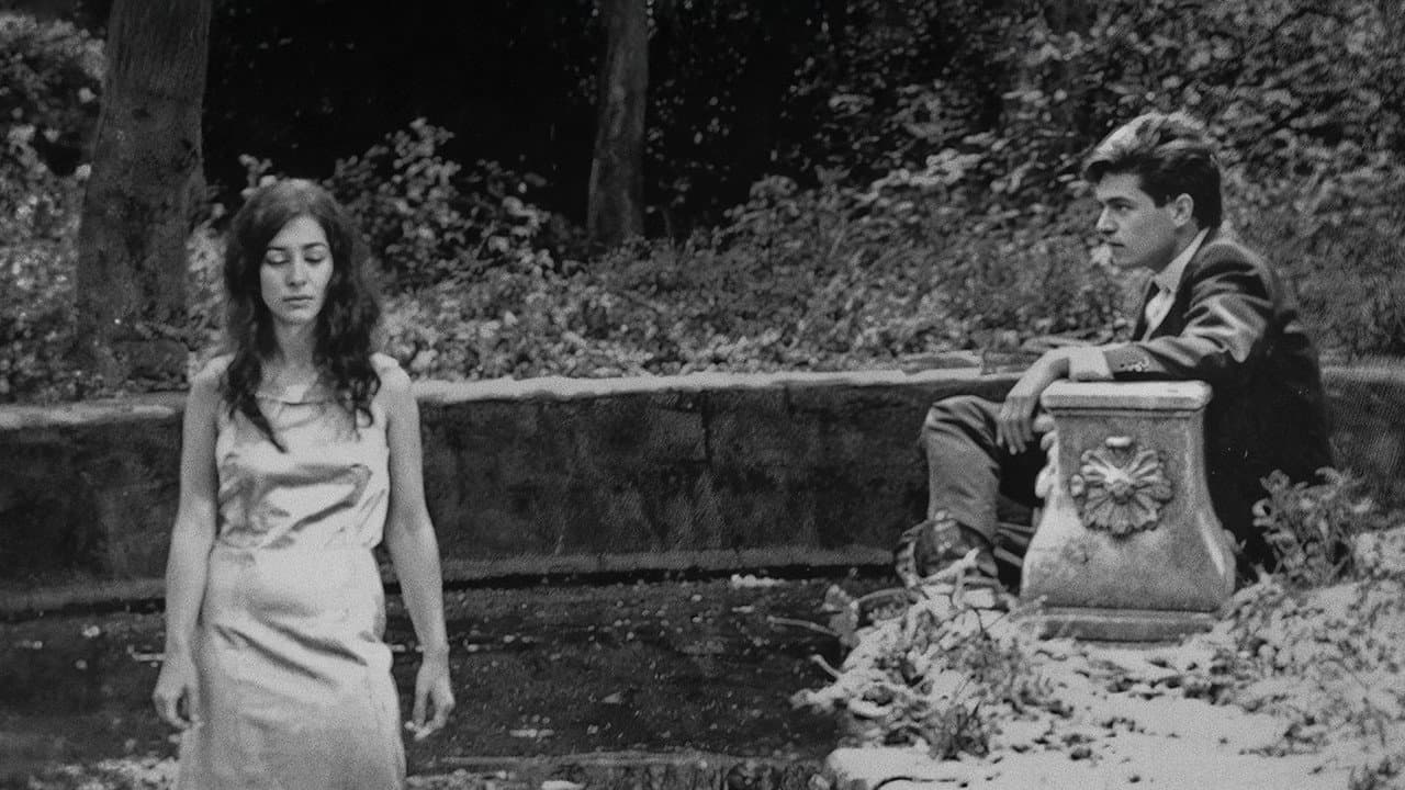 Historias de Amor de la Noche Pálida