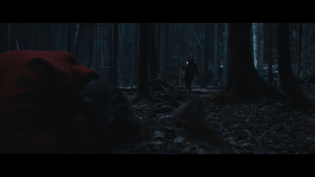 Hollow