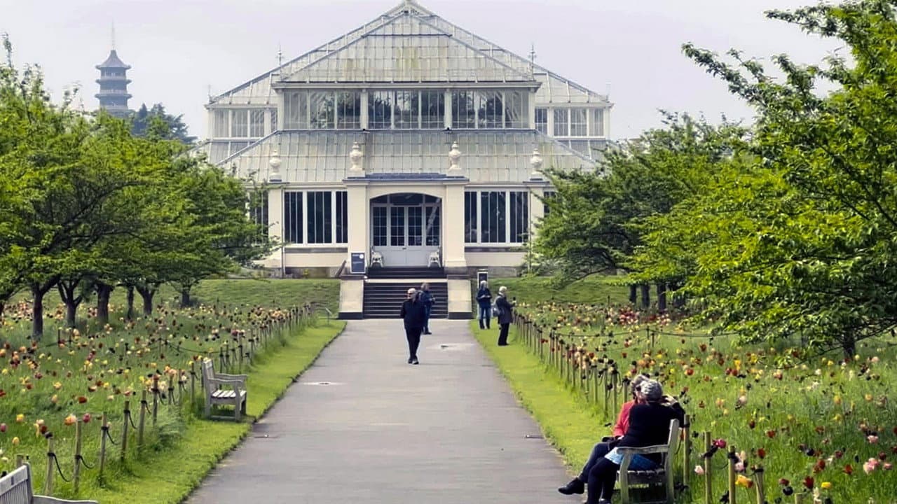 Jardines botánicos - Santuarios de flora