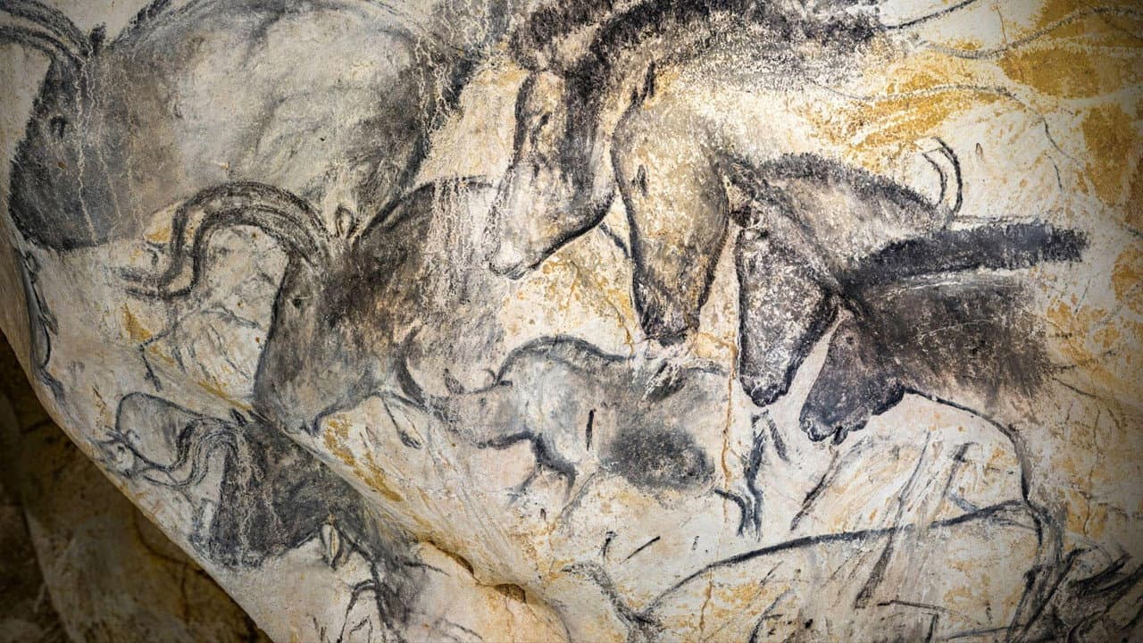 La cueva de Chauvet - Tras las huellas de los artistas de la prehistoria