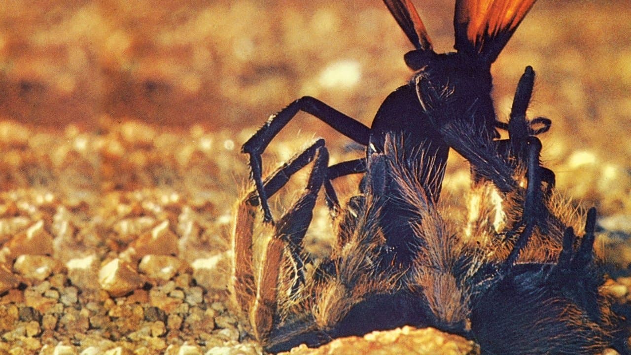 El Desierto Viviente