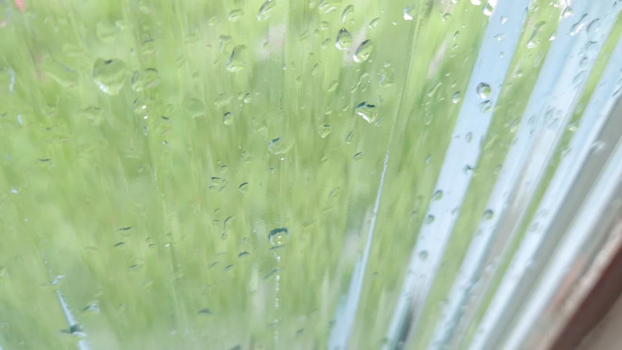 quando chove em um sábado