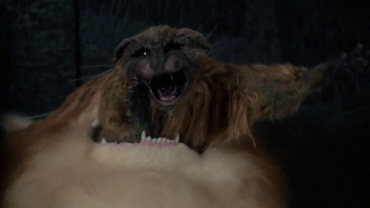 El pasajero no invitado