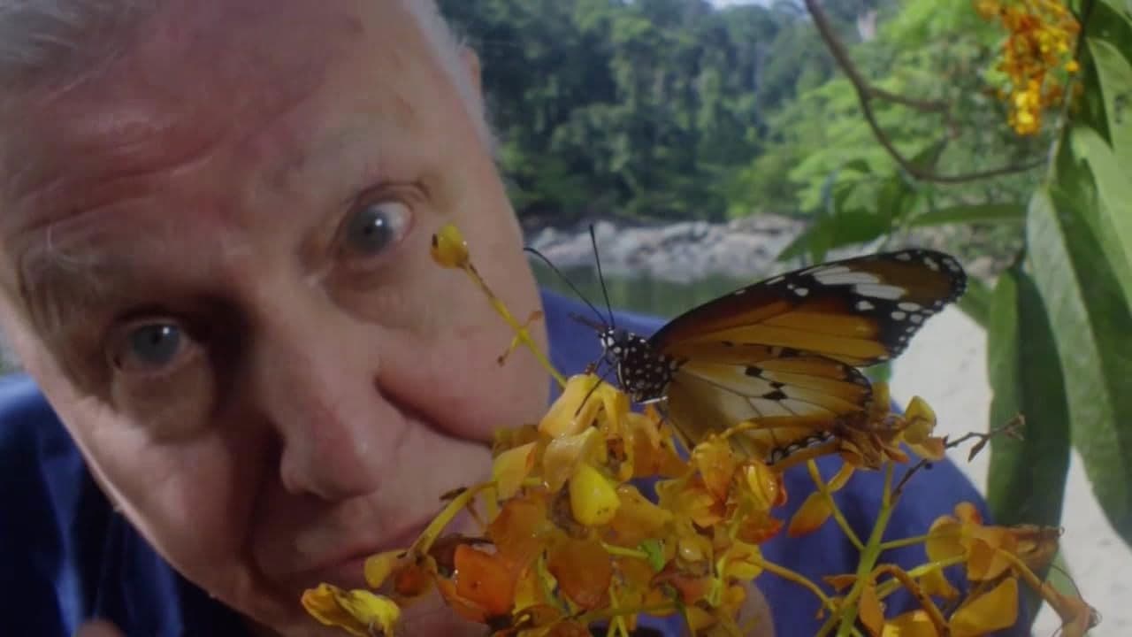La conquista de los cielos de David Attenborough