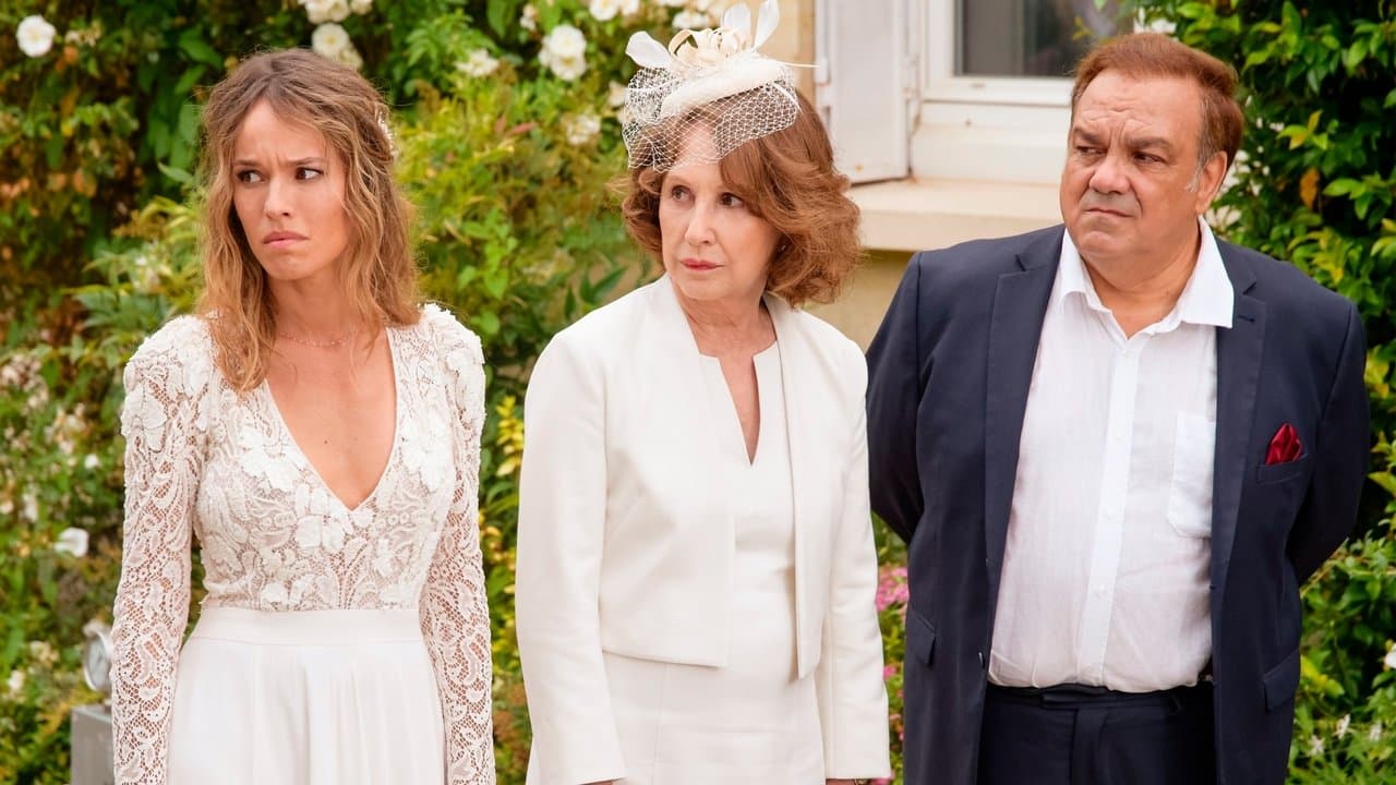 Suegros de alquiler 2.0. Agencia de engaños