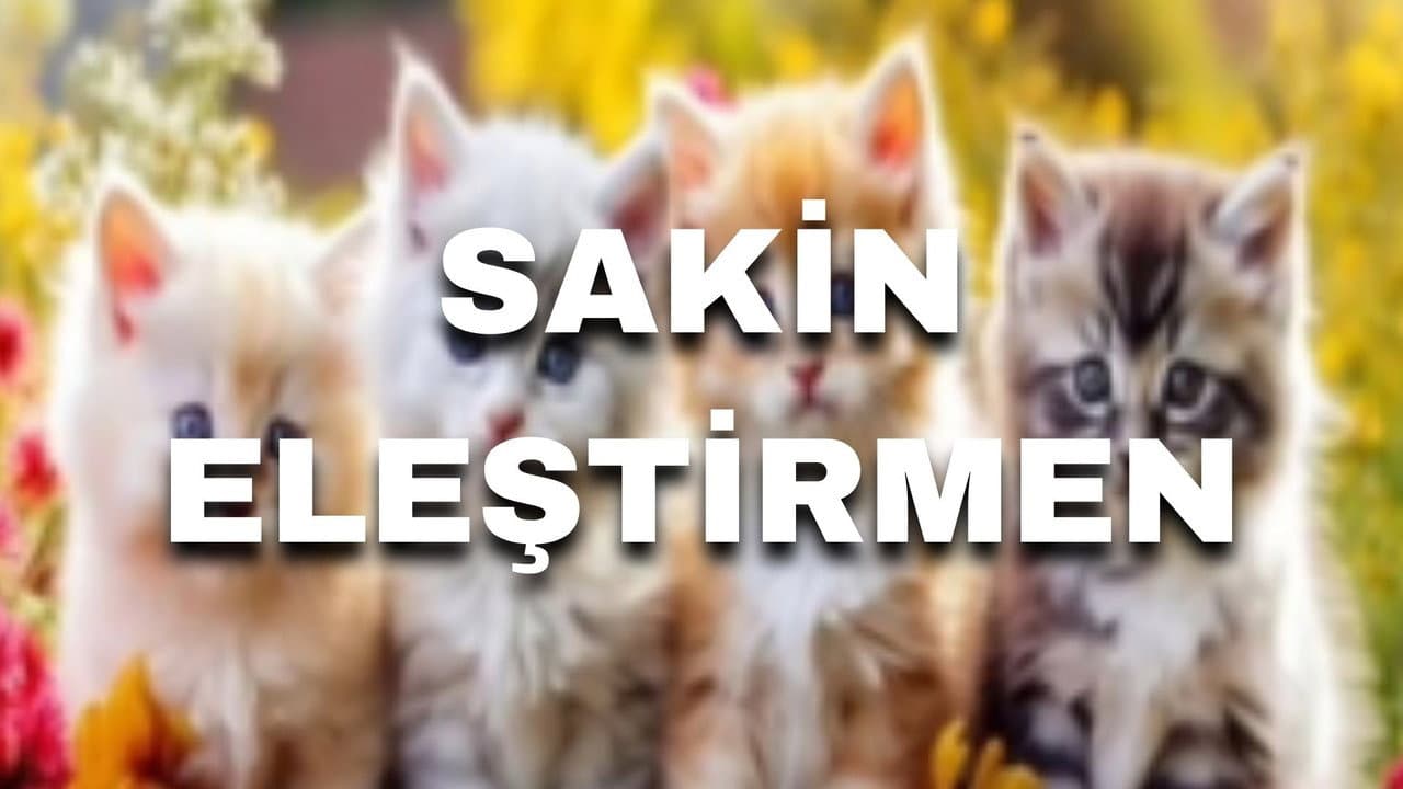 Sakin Eleştirmen: Father of Eleştiri
