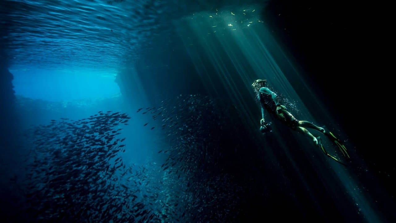 La luz de las historias