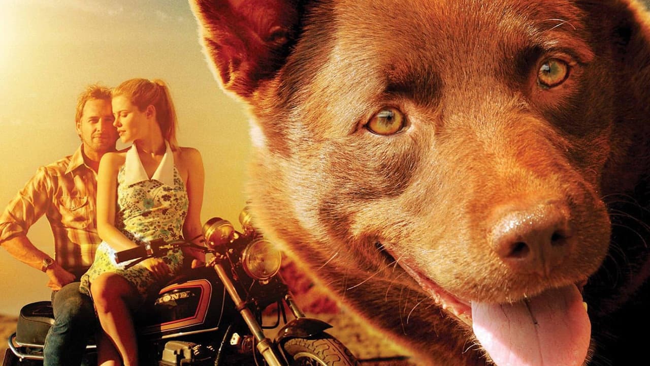 Red Dog, una historia de lealtad
