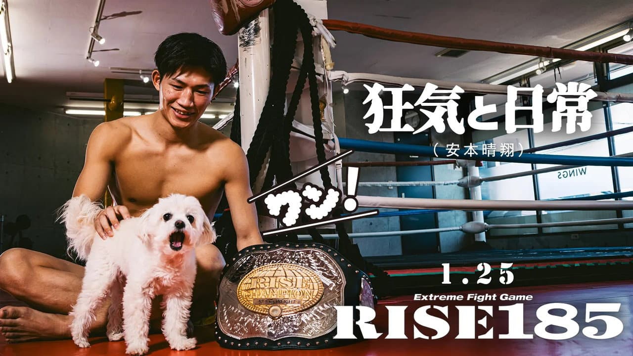 RISE185