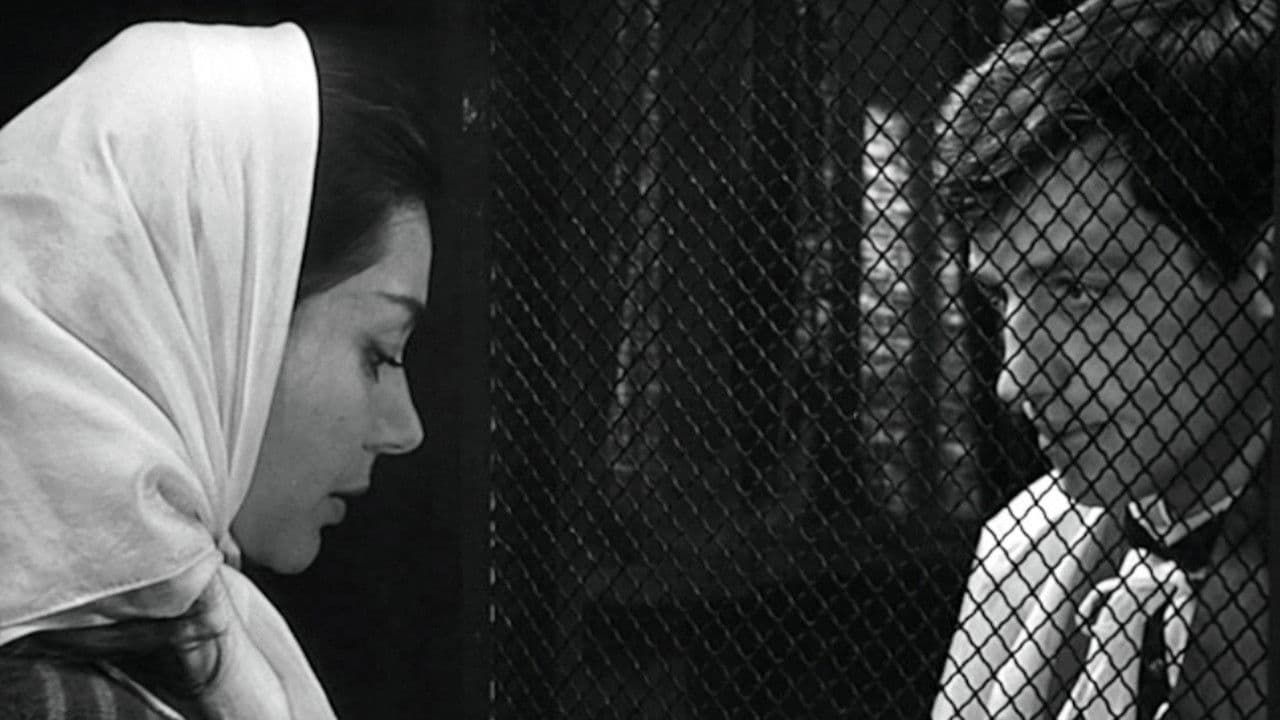 León Morín, Sacerdote