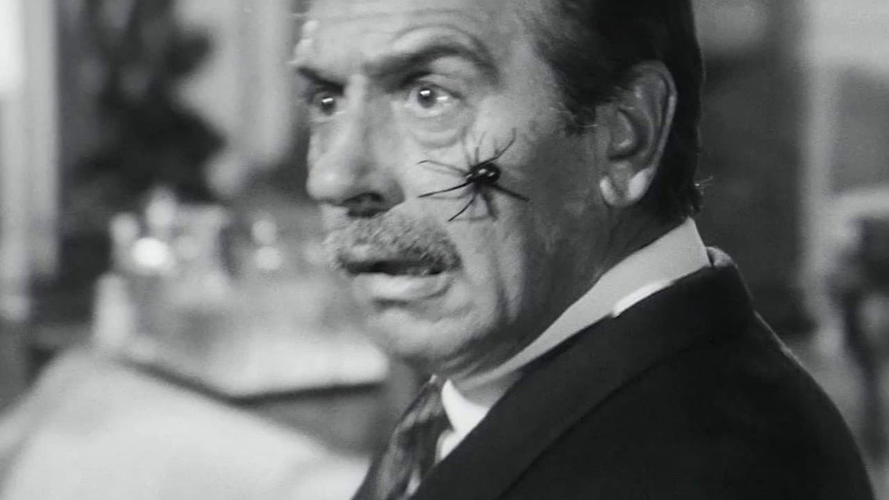 Araña negra