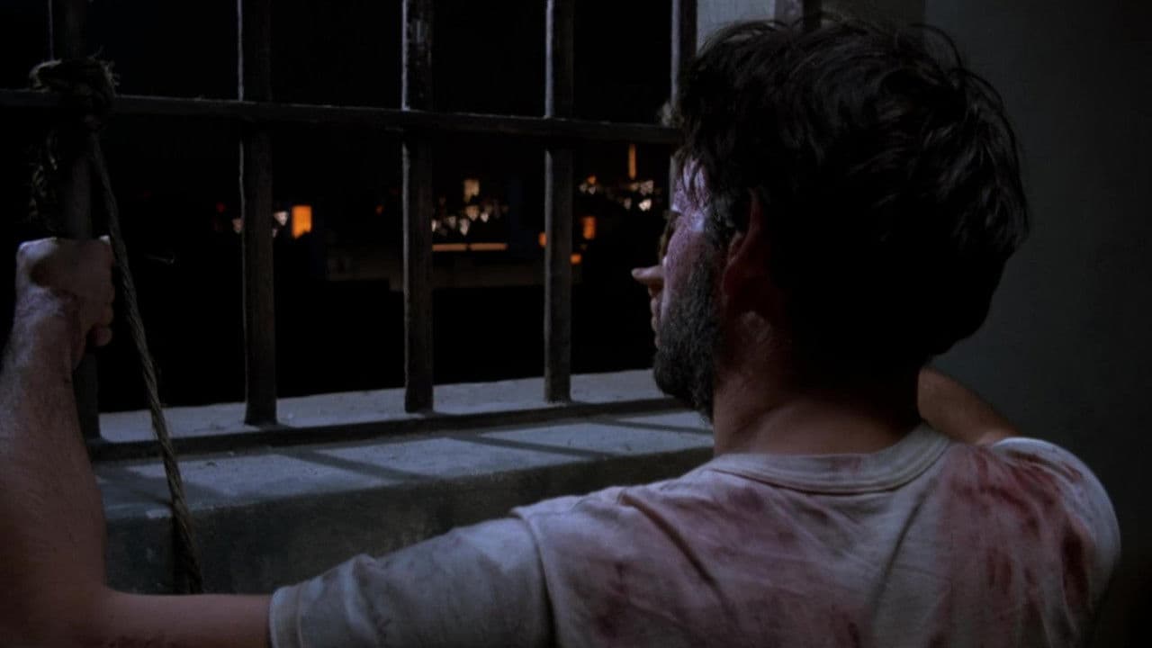 El Beso De La Mujer Araña