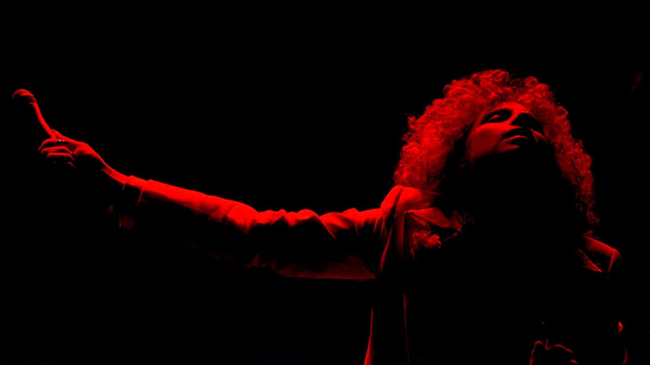 Ha nacido una estrella