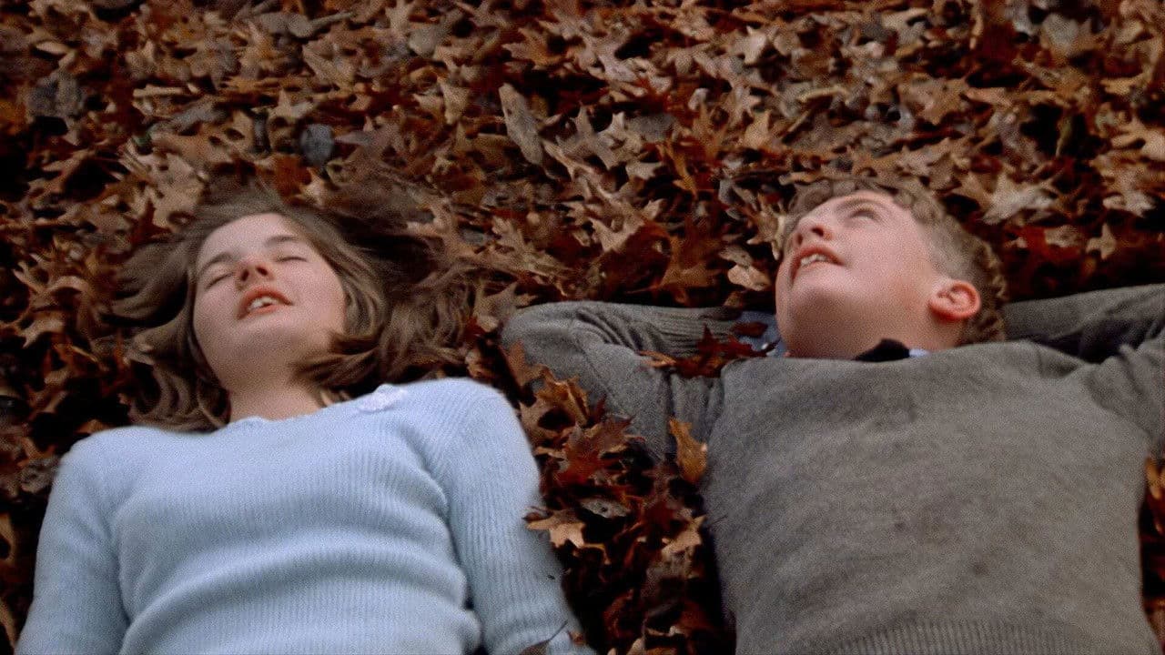 El juguete del diablo