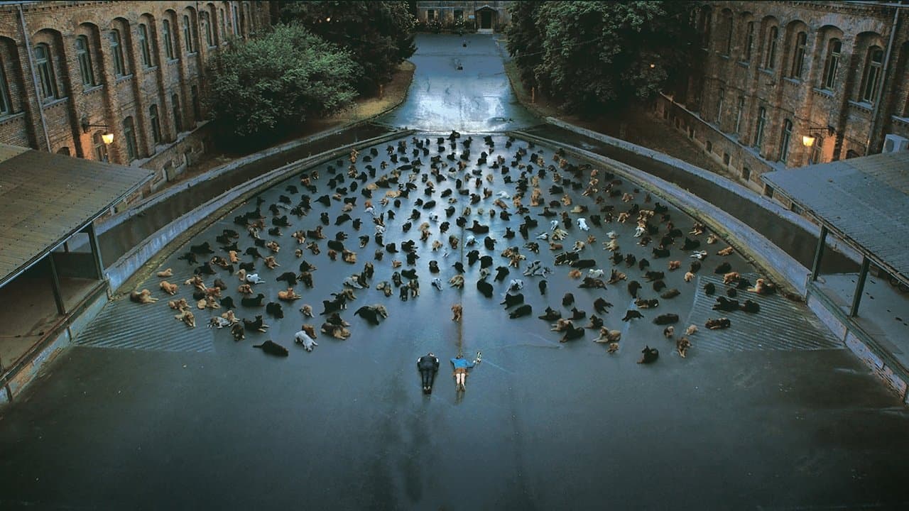 White God (Dios blanco)