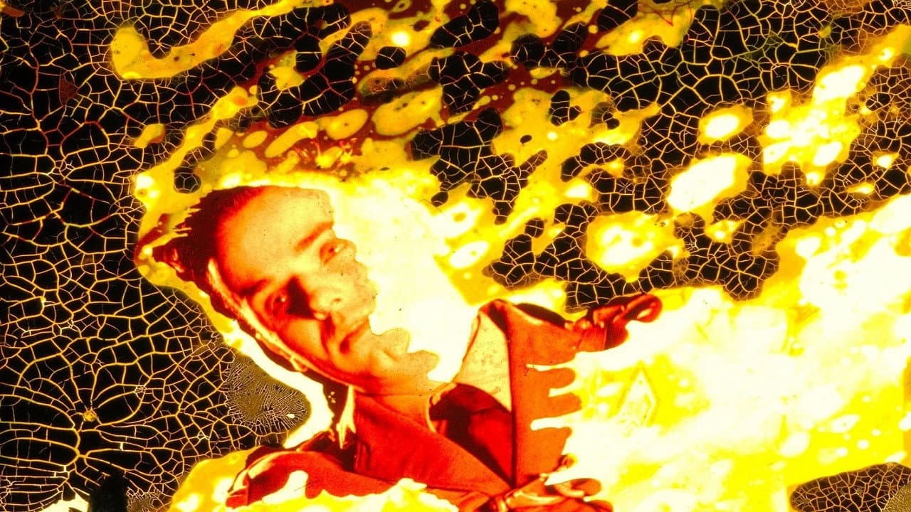 La caída mortal de Mynarski