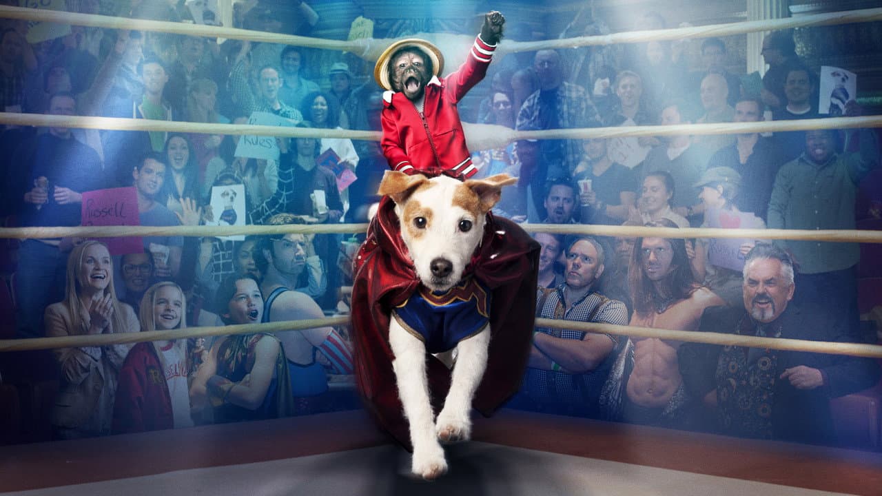 Russell, el perro luchador