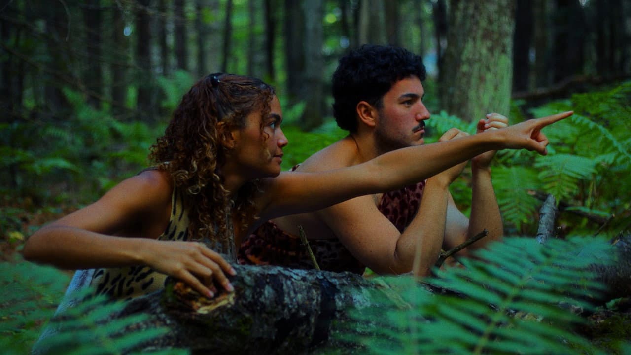 La Découverte du Miel