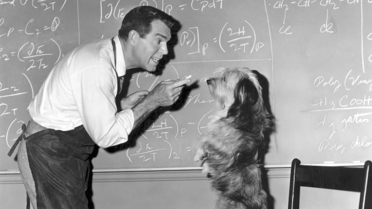 Un sabio en las nubes