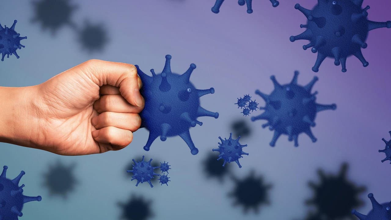 El sistema inmunitario, el guardián de nuestra salud