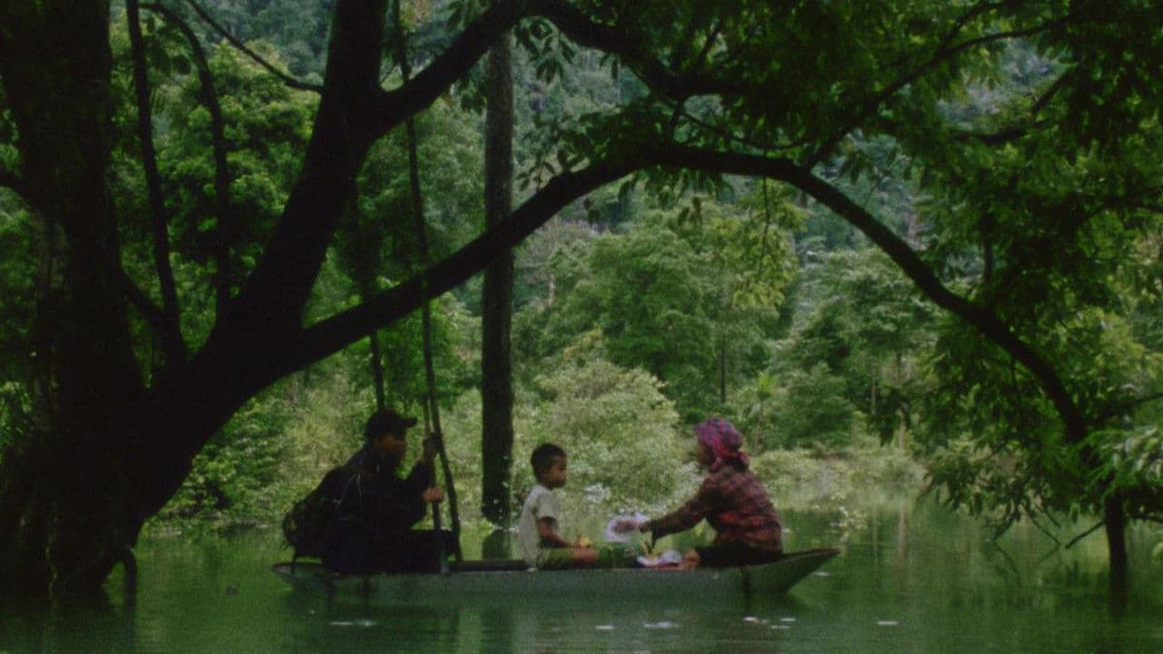 Cabello, papel, agua...