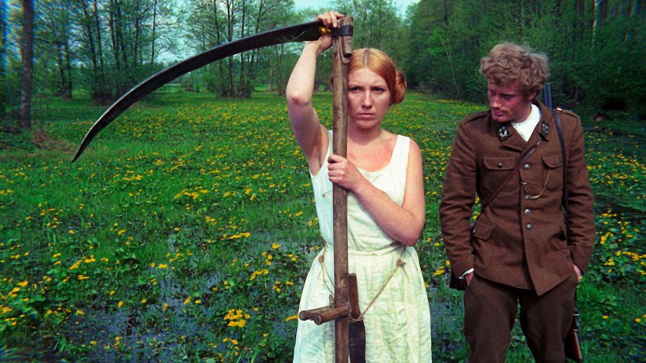 El bosque de los abedules