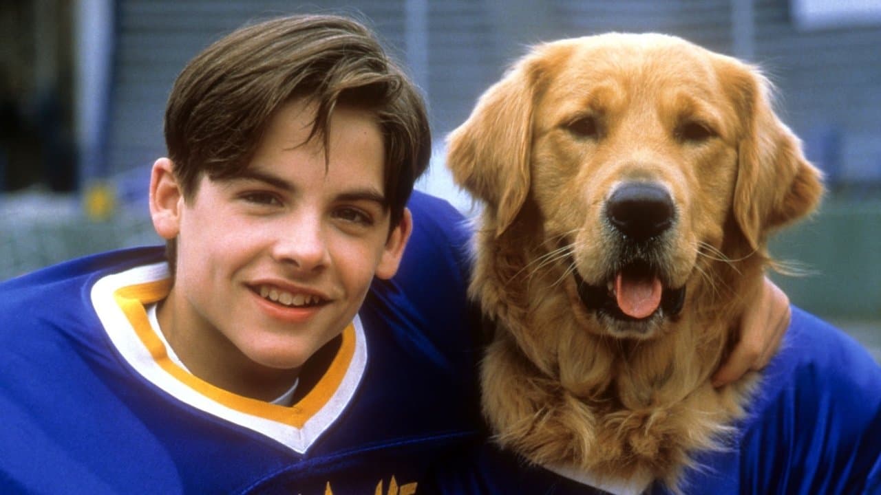 Air Bud: El fichaje de la liga