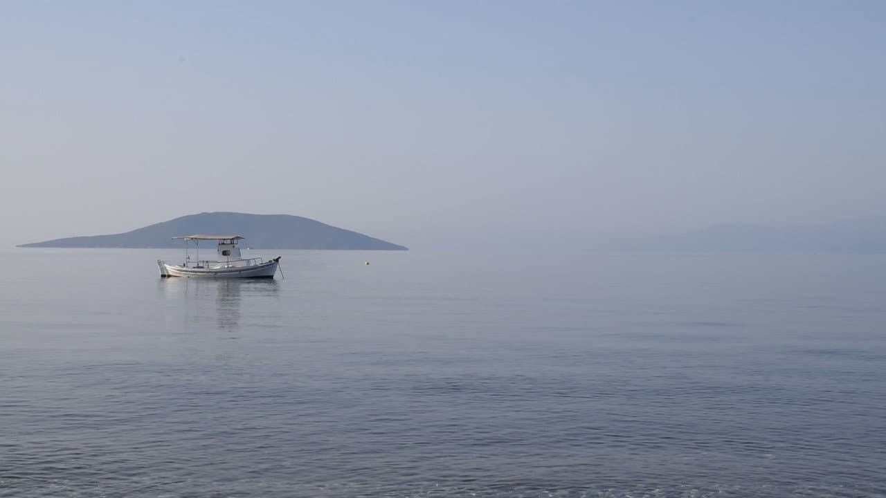 84 Μέρες Καλοκαιριού