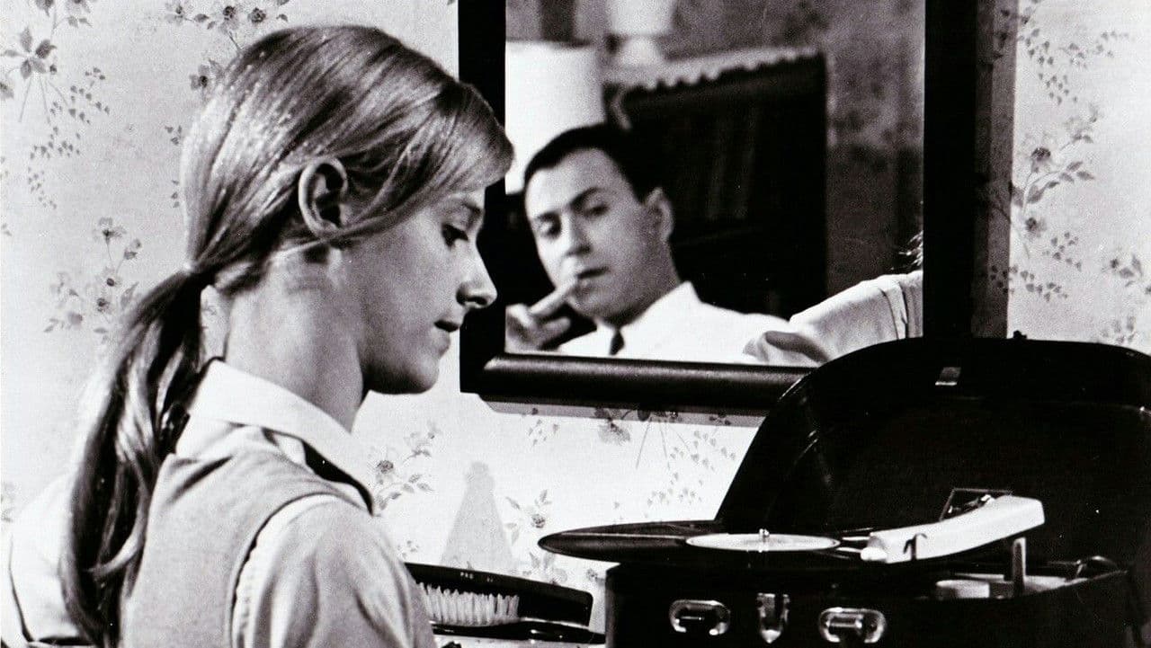 El corazón es un cazador solitario