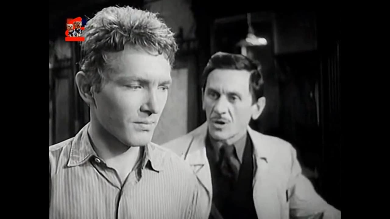 Námestie svätej Alžbety