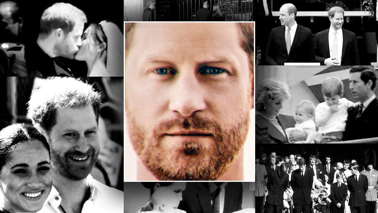 Harry: la entrevista