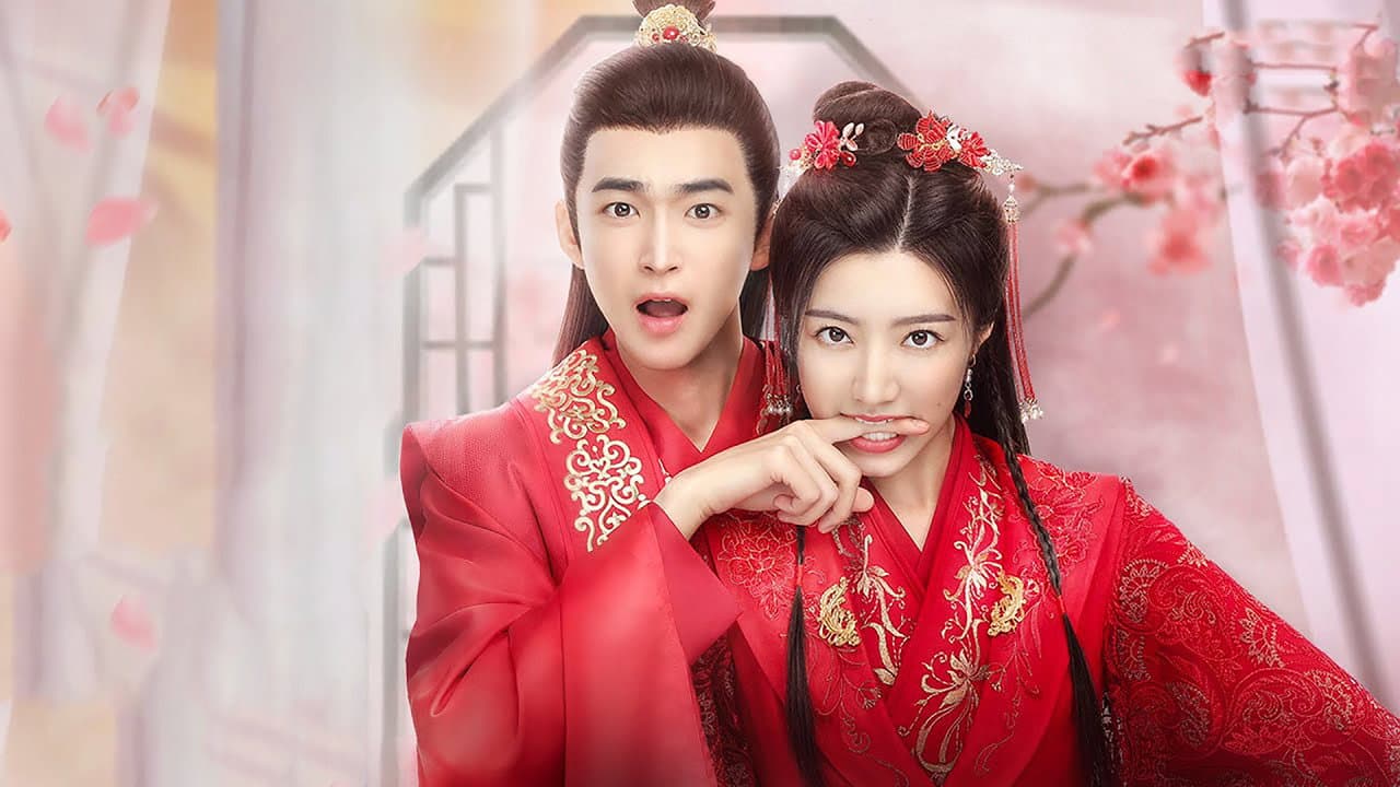 我家娘子惹不起