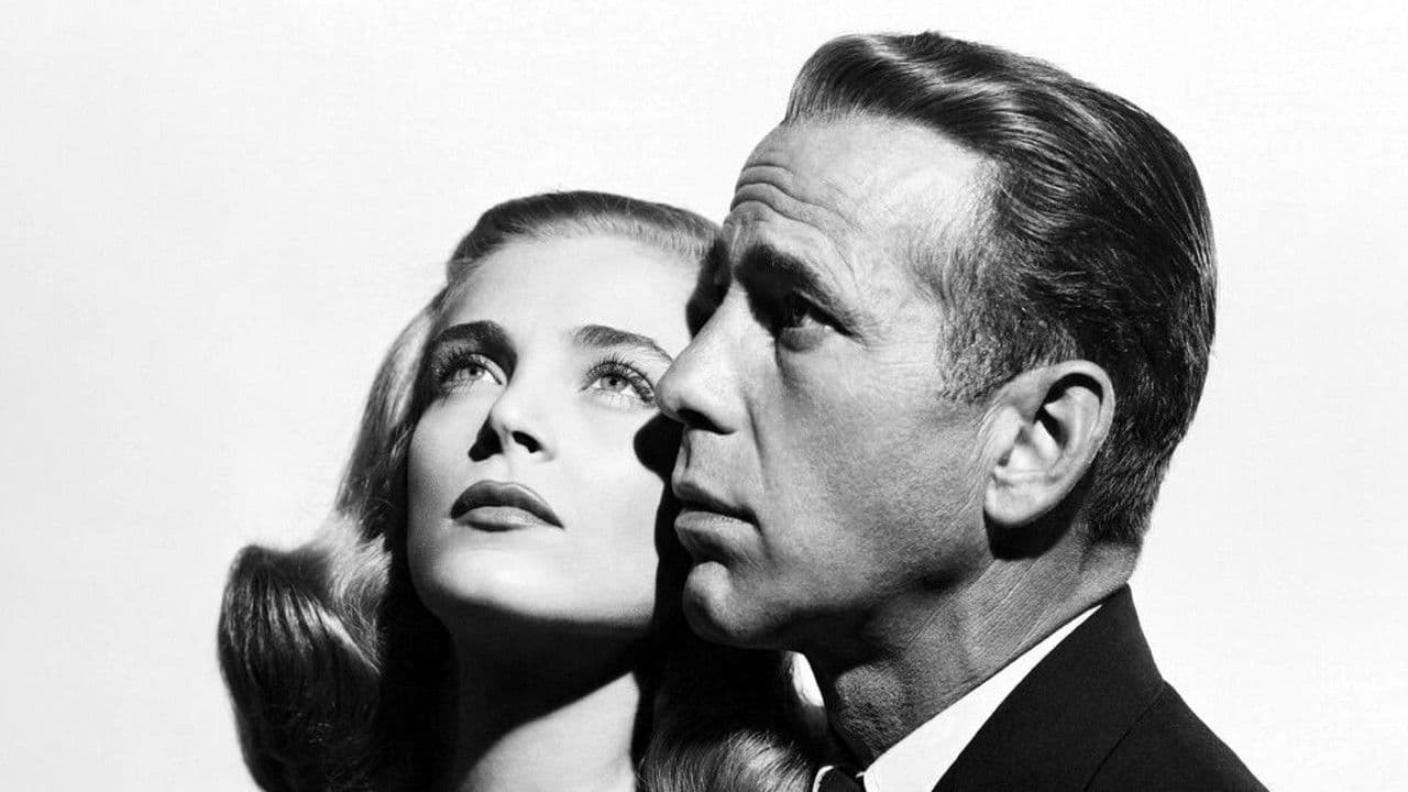 Callejón sin salida