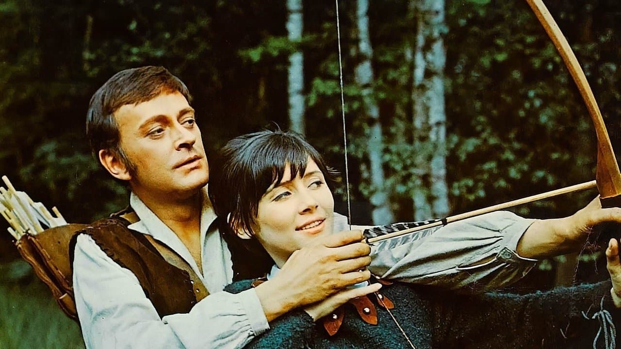Un desafío para Robin Hood