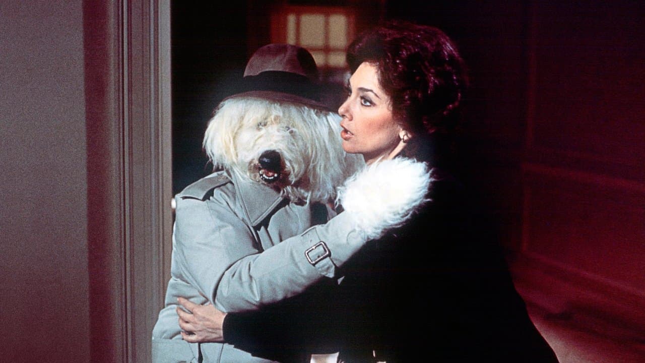 Un candidato muy peludo