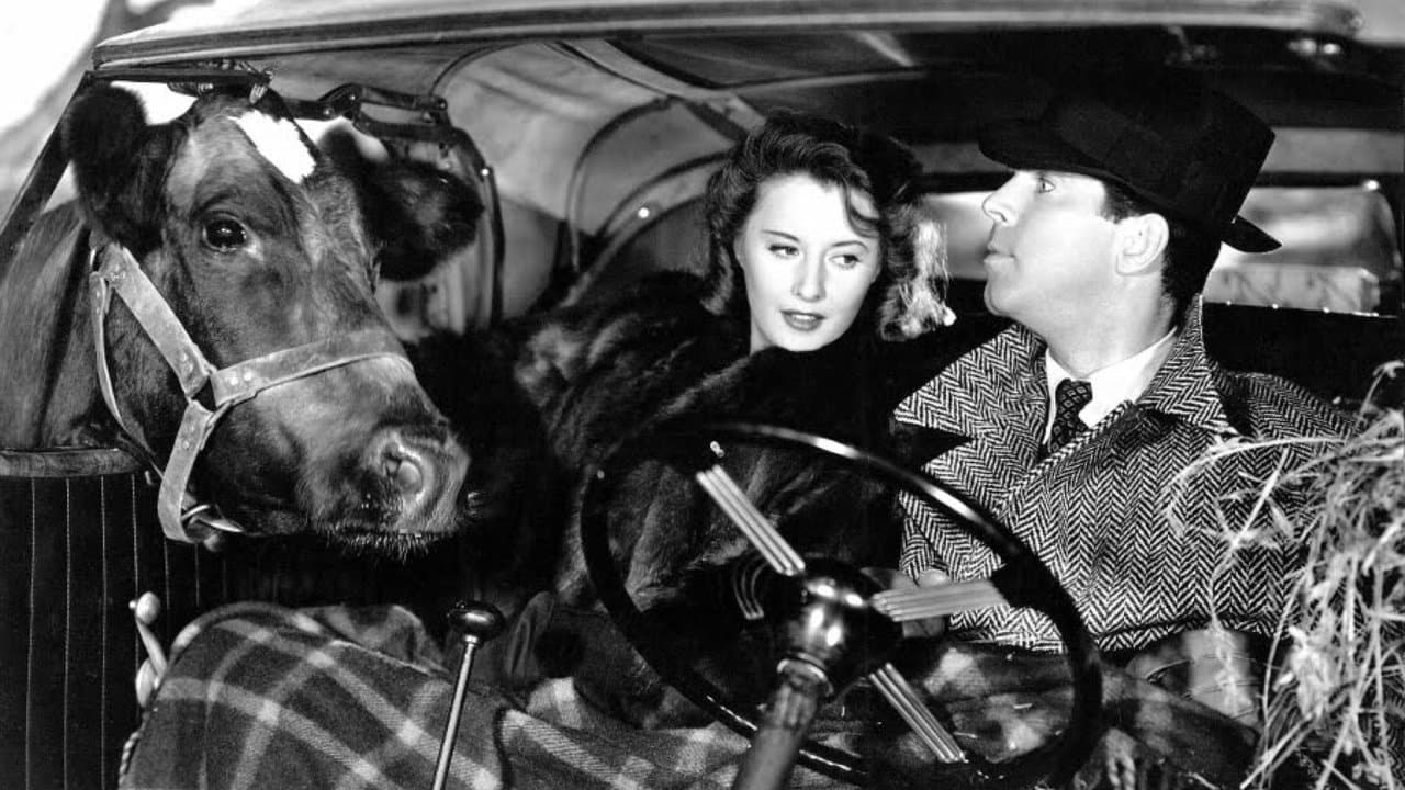 Recuerdo de una noche